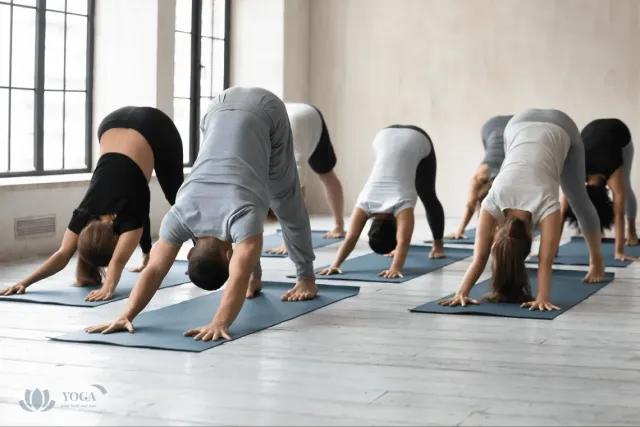 Yoga for Joint Health: A Comprehensive Guide